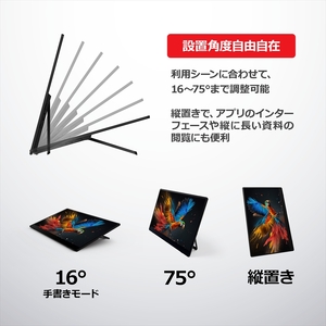 バッテリー内蔵15.6インチ有機ELポータブルタッチディスプレイ。ワイヤレス＆USB接続タイプ。RICOH Light Monitor 150BW【 モニター 神奈川県 海老名市 】