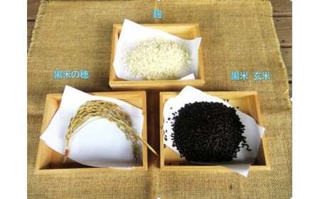 紅白甘酒セット＆黒米（ ノンアルコール ） 玖珠町産 黒米 玄米 もち米 甘酒 あま酒 ノンアルコール アントシアニン 免疫力 栄養素 手作業 自家製 籾すり器 免疫 自然 食生活 料理 健康 体に良い 吸収されやすい 栄養 食べる甘酒 くろあま しろあま