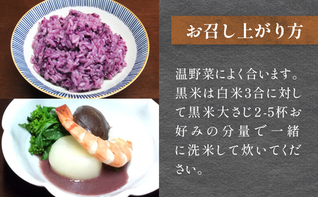 黒米＆黒米甘酒ドレッシング2本 玖珠町産 黒米 玄米 ドレッシング 甘酒 黒米ドレッシング 黒米甘酒 食物繊維 アントシアニン シンプル お砂糖不使用 お醤油不使用 大豆アレルギー対応 小麦アレルギー対応 健康志向