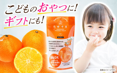 長崎冷果 みかん 6袋セット / 冷凍 冷凍フルーツ みかん ミカン 柑橘 / 諫早市 / エスジーエス株式会社[AHEQ002]