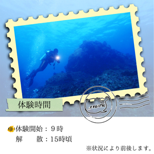 水着1つでお越しください！徳島最南端の海でファンダイビング！