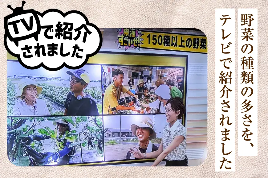 旬 ココニコ おまかせ 野菜セット 6～8品 [ココニコヒロバ 愛知県 江南市 ko23btu710000]