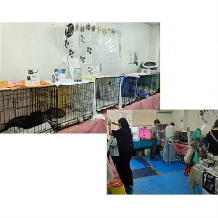 保護猫へのご支援のためのお礼品【チームしっぽ】猫のキャリーケース用クッション(手作り)【1650164】
