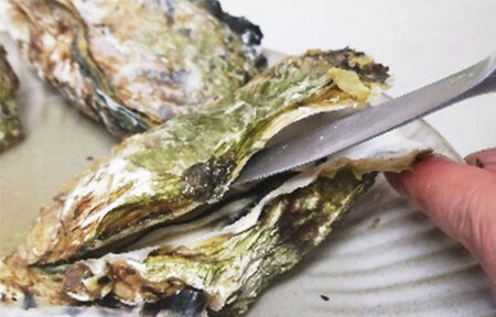 オレのガンガン焼き 広島県大竹市産 冷凍殻付牡蠣 2.5kg (約15個から20個) [2221]