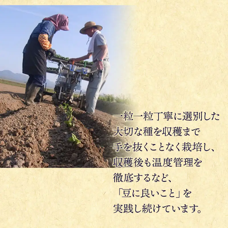 【令和8年産先行予約】 木村九八郎の朝採り！新鮮！だだちゃ豆 「早生」 1kg（500ｇ×2袋） 山形県鶴岡市産　K-829