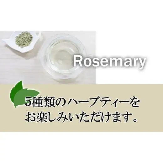 ハーブティー5種セット×2（5種×各2パック）