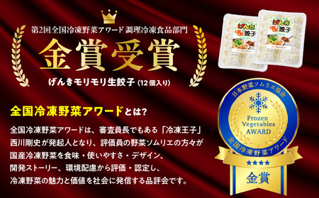 げんきモリモリ 生餃子 120個 K027-010_02 肉 豚肉 惣菜 総菜 冷凍