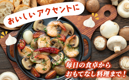 ＜西予市産 朝霧にんにく（乾燥小袋）1袋20g入り 5袋セット＞ 国産 ニンニク 小分け 5袋 セット 愛媛県産 野菜 やさい ドライ 大粒 ストック 薬味 特産品 ノムランド 愛媛県 西予市【常温】『1ヶ月以内に順次発送』NNM0003