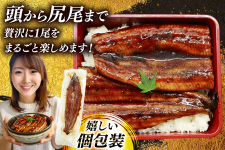 【定期便3回】 うなぎ 蒲焼 国産 特大 2尾 [um40bak830018] うなぎ