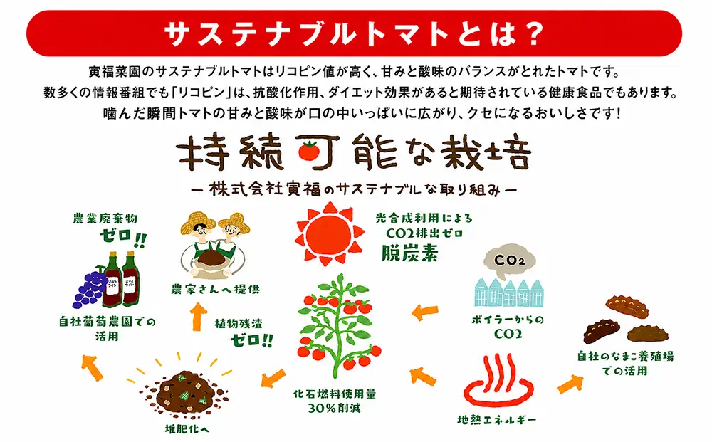 むつ市産　寅福菜園の「ミニトマト」4㎏