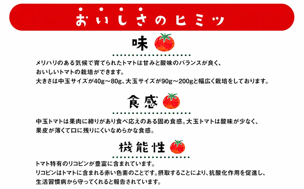 むつ市産　寅福菜園の「サステナブルトマト＆ミニトマトセット」2㎏