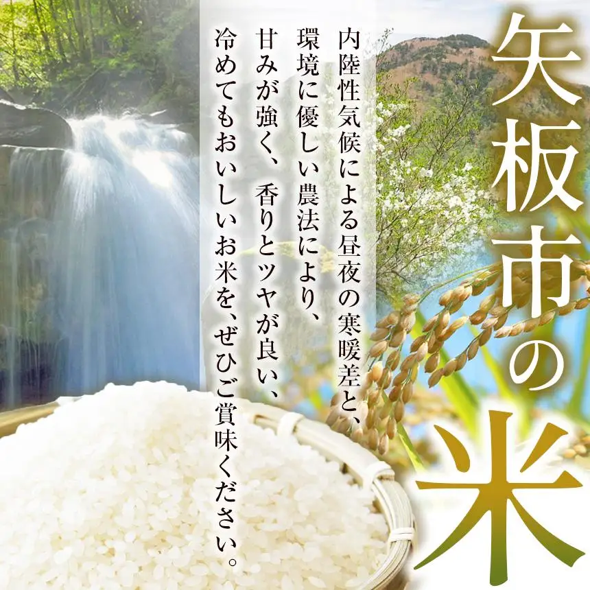 矢板市特別栽培米 お米 こしひかり 白米 2kg |栃木県 矢板市