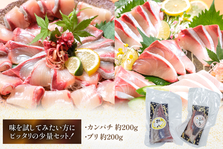 刺身 柵 カンパチ ブリ 少量贅沢 食べ比べ セット [請関水産 宮崎県 日向市 452061436]