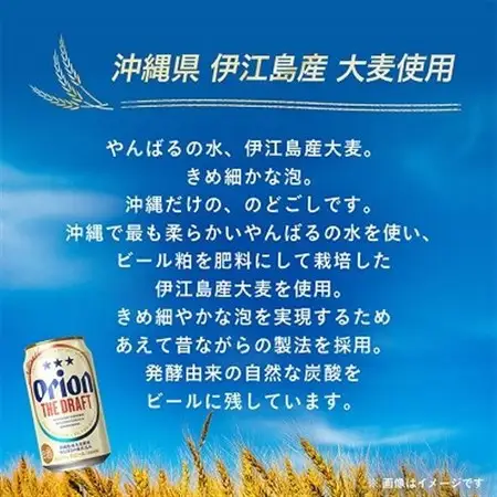 【毎月定期便】毎月届く楽しみ!オリオンビール ザ・ドラフト 350ml×24本全3回【4074833】