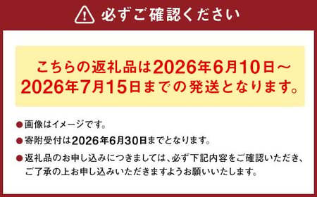 熊本県産 スイートコーン ミルキースイーツ 約5kg とうもろこし やさい 野菜 トウモロコシ 【2026年6月上旬発送開始】
