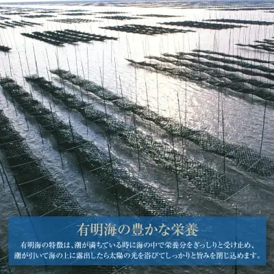 Z26-41 寄附額改定↓↓ 【訳あり】福岡有明のり 焼き海苔 全形50枚 訳あり
