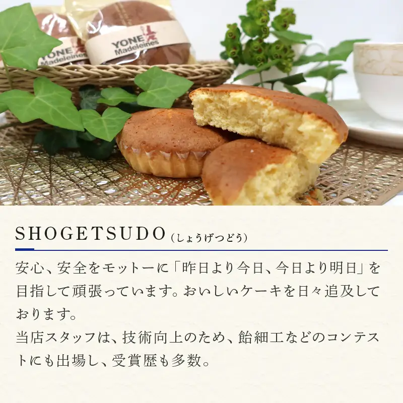 マドレーヌ 10個入り バター・アーモンドの香り漂う焼き菓子 焼き菓子