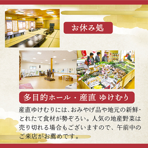 「おくのほそ道」赤倉ゆけむり館　入浴回数券　【小学生26回券】