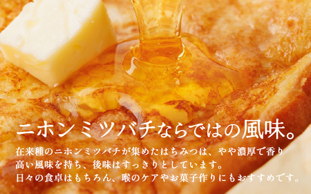 【定期便】 ニホンミツバチのはちみつ 300g×3回 | 蜂蜜 はちみつ ハチミツ 百花蜜
