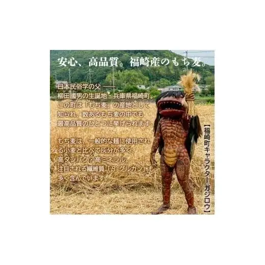 もち麦カレー 10箱入 福崎町産もち麦使用 レトルト カレー もち麦 お手軽 非常食 保存食