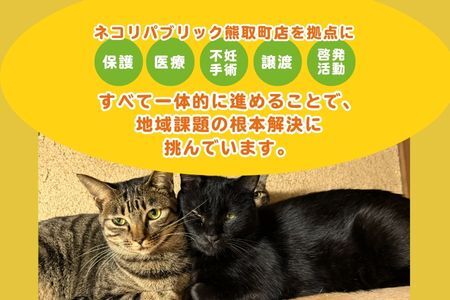 ほごねこクリニック不妊手術 代理支援チケット（047_5002）