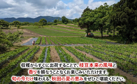先行予約 秋田県 羽後町産 枝豆 2kg （250g×8） [えだまめ 簡単調理レンジ 国産 国産野菜 おつまみ] 