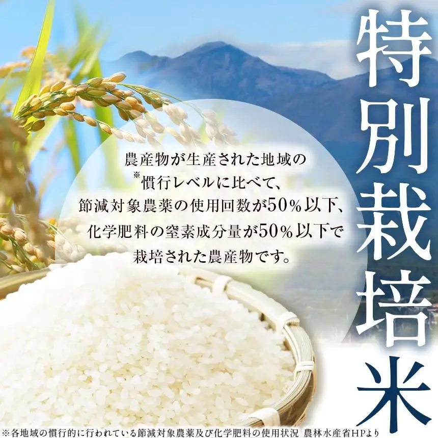 お米 にじのきらめき 白米 5kg×2P |栃木県 矢板市