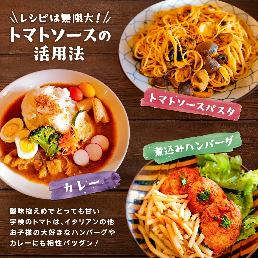 宇検の恵み トマトソース （300g×2パック） 冷凍 奄美 大島 宇検村 鹿児島県 素材 自宅用 ソース トマト とまと【まんま食堂】