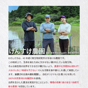 【ふるさと納税】＜薫る神様のお米 奉納米 縁起米 約3合×1袋＞希少米 香り米 奇跡の復活 ふさなり 栽培期間中、化学農薬化学肥料不使用 【常温】
