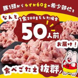 【訳あり・業務用】希少部位！！国産豚タン元(計10kg) 国産 豚肉 豚 肉 タン 豚タン 焼肉 BBQ 訳あり 業務用 つまみ おつまみ 希少部位 冷凍 c2-016
