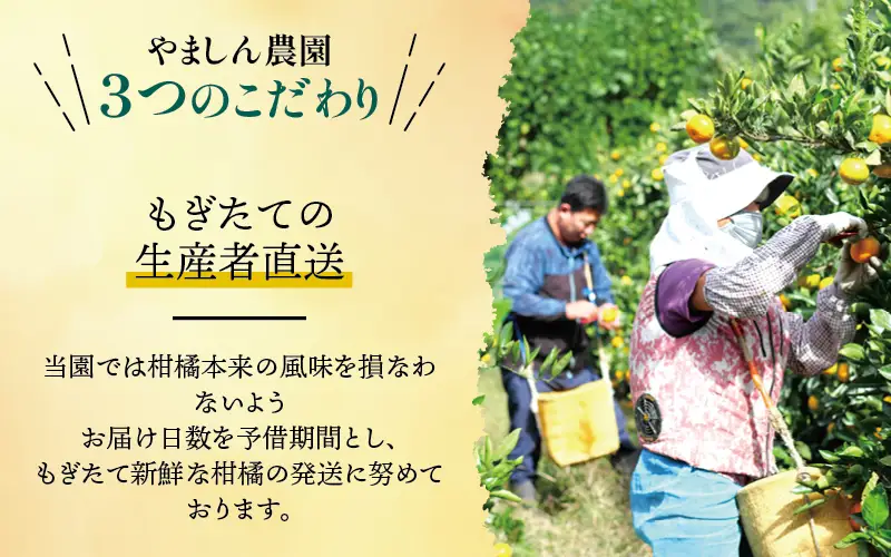 有田 みかん 訳あり 4kg 光センサー 選別 / 温州みかん 有田みかん 甘い 家庭用 和歌山 柑橘 ※2026年11月順次発送 ※北海道・沖縄・離島への配送不可【nuk004-c-4-novH】