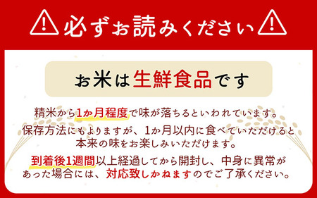 米シスト庄内 庄内平野、風と暮らす 雪若丸 5kg 特別栽培米 令和7年産 2025年産 ブランド米 コシヒカリの原点、亀の尾発祥の地 庄内