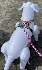 a96-001　小型犬ハーネス首輪