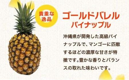 訳アリ 業務用冷凍カットパイナップル500g×3点セット PU-02