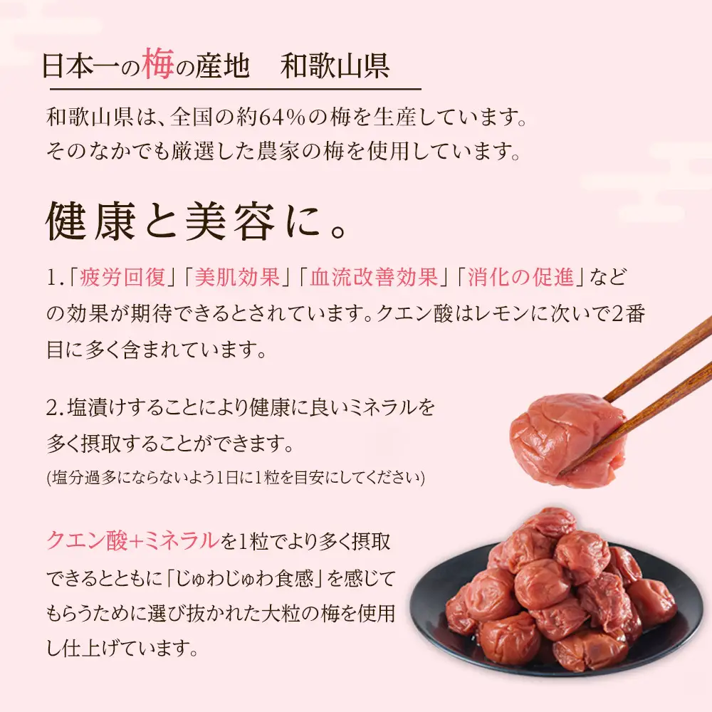 無選別 和歌山の完熟南高梅 味が染み込んだ梅干し しそ味 500g 塩分10％ [定期便 毎月発送・全6回]