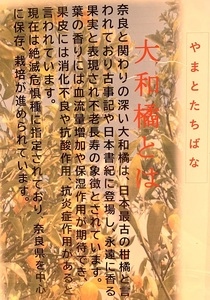 まほろばぽん酢3本セット ／ 四季の味 花里 自家製 ポン酢 やまとたちばな 奈良県 田原本町