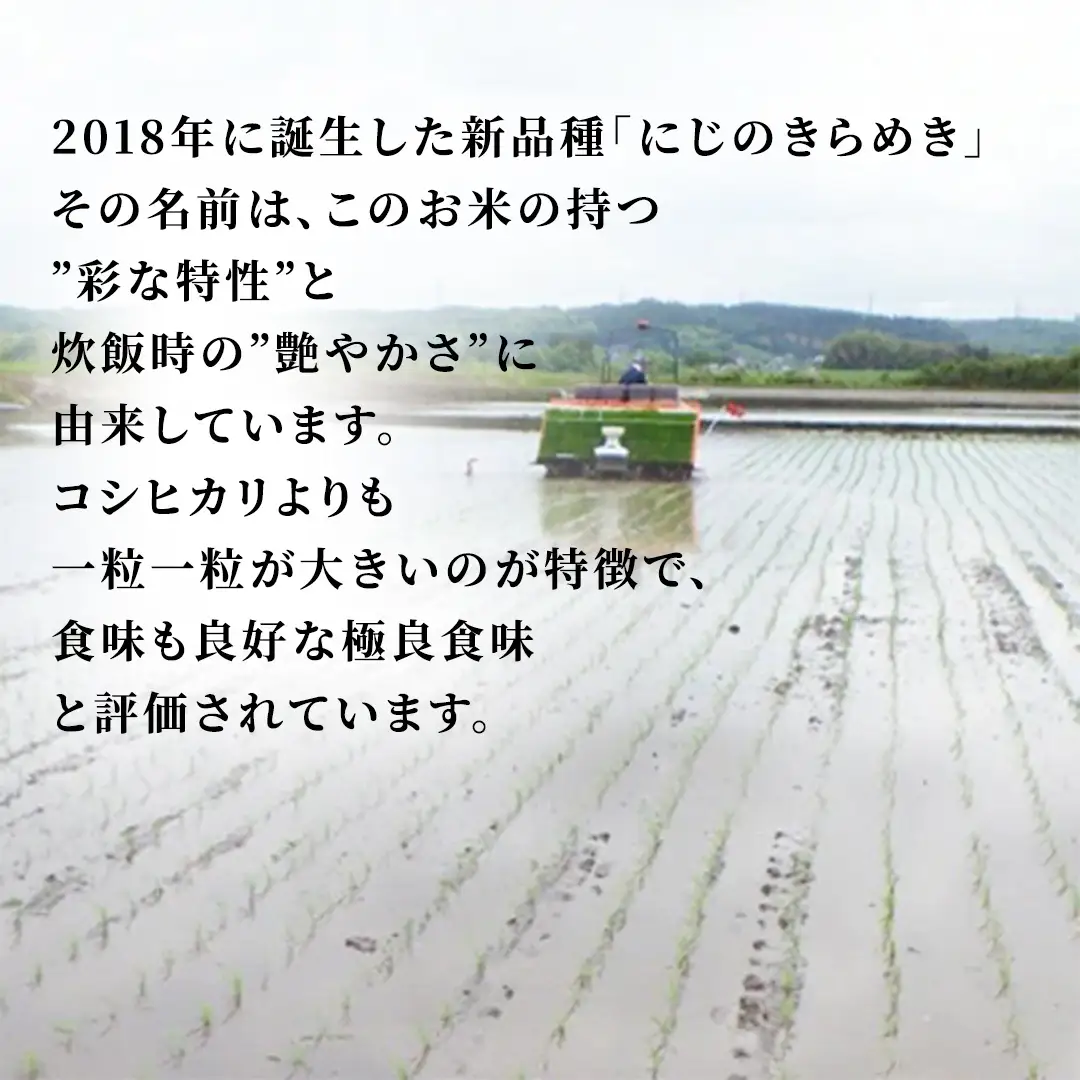 にじのきらめき 精米 5kg 令和7年産 スピード出荷 最短3～7営業日出荷 精米 米 コメ こめ 単一米 限定 国産 美味しい お米 おこめ おコメ 茨城県 城里町産 (AX013)