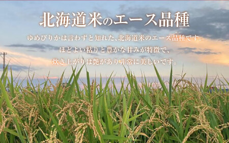 【令和7年産】 ゆめぴりか （精白米） 10kg×2袋 20kg 北海道 鷹栖町 たかすのおむすび 米 コメ ご飯 精白米 お米