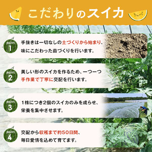 【先行予約】鳥取県北栄町産 金色羅皇スイカ 1玉 7-9キロ前後（こちらの返礼品は、大栄西瓜ではありません）【西瓜 西瓜 すいか すいか 果物 くだもの フルーツ】