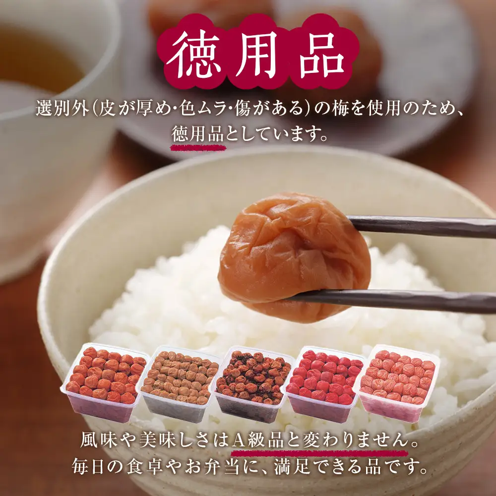 紀州南高梅 徳用 紀州かつお梅 1.5kg×1箱 ［Kn8］