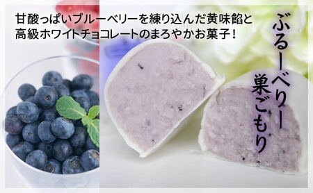 フルーツ な 巣ごもり たち 9個入 | 和菓子 お菓子 お茶請け 餡子 和風 スイーツ お土産 贈り物 長野県 飯田市 信州