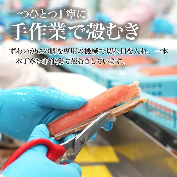 生ズワイガニ ポーション 太脚だけ 肩肉無し 500g 生食OK 折れ品 ＜福岡市内製造＞