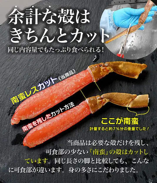 生ズワイガニ ポーション 太脚だけ 肩肉無し 500g 生食OK 超特大8-12本 ＜福岡市内製造＞