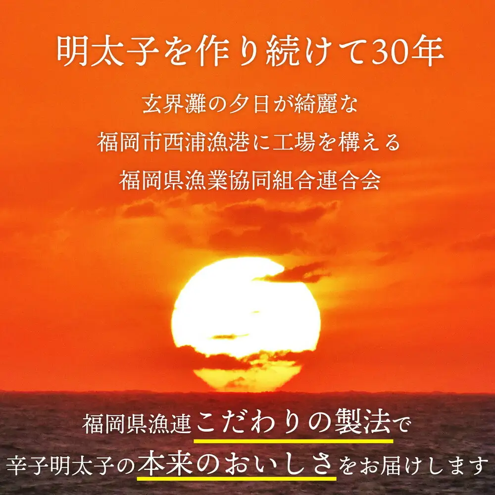 訳あり 辛子明太子 500g×2パック（1.0kg）