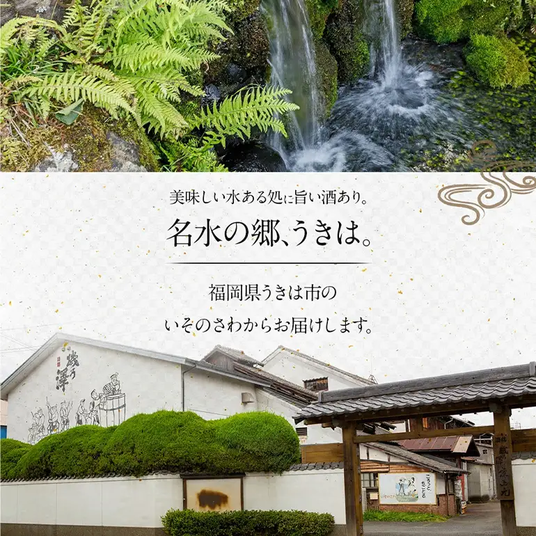 いそのさわ 駿 (純米酒 720ml) 日本酒 お酒 酒 アルコール 山田錦 食中酒 贈答用 プレゼント 贈り物 福岡県 うきは市