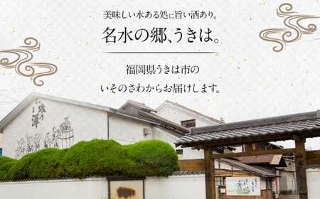 いそのさわ 駿 (特別純米酒 720ml) 日本酒 お酒 酒 アルコール 山田錦 雄町 贈答用 プレゼント 贈り物 福岡県 うきは市