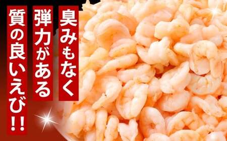贅沢な下処理不要むきえび 約500g×3袋 計約1.5kg むきえび むきエビ むき海老 えび エビ 海老 背ワタなし 下処理不要 海鮮 冷凍 福岡県 北九州市