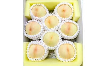 岡山県美咲町産 桃 【おかやま夢白桃】約2kg 【2026年7月下旬-8月下旬発送予定】 ／ 白桃 もも 果物 果実 フルーツ 国産 岡山県 美咲町 冷蔵