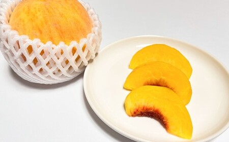 岡山県美咲町産 桃 【黄金桃】約2kg 【2026年9月発送予定】／ マンゴーピーチ 黄桃 もも 果物 果実 フルーツ 国産 岡山県 美咲町 冷蔵