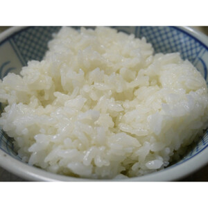 【令和７年産】大田原産コシヒカリ　精米５ｋｇ